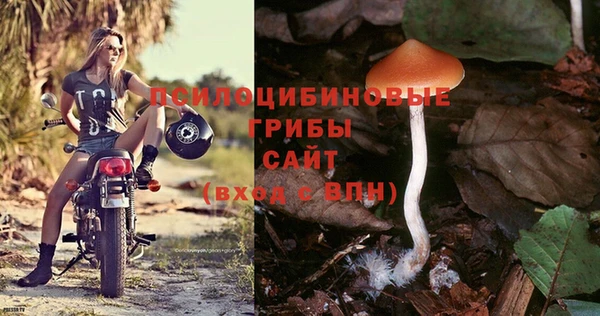 прущие крисы Абдулино