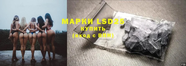 хмурый Алзамай