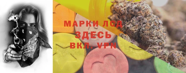 PSILOCYBIN Абаза