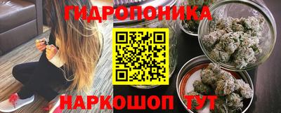 бошки Краснознаменск