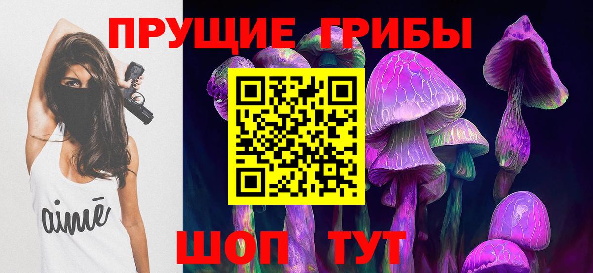 Галлюциногенные грибы GOLDEN TEACHER  Вход с VPN  Кандалакша  продажа наркотиков  Псилоцибиновые грибы Psilocybe 
