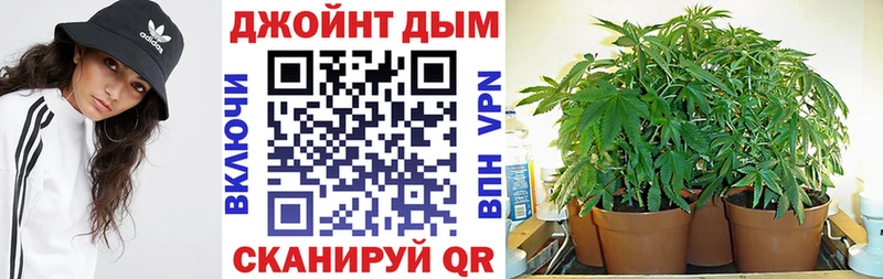 Бошки Шишки план  как найти наркотики  Кандалакша 